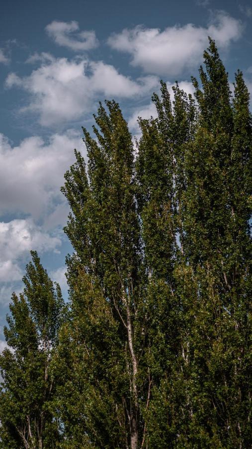 Pampas Del Sur Hotel Y Spa De Campo Cañuelas Kültér fotó