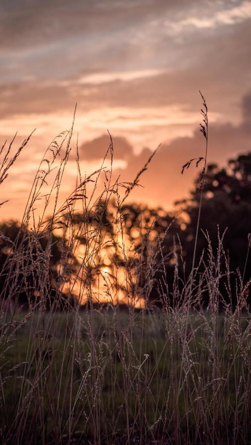 Pampas Del Sur Hotel Y Spa De Campo Cañuelas Kültér fotó